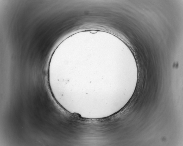 X0000103441536200810101053