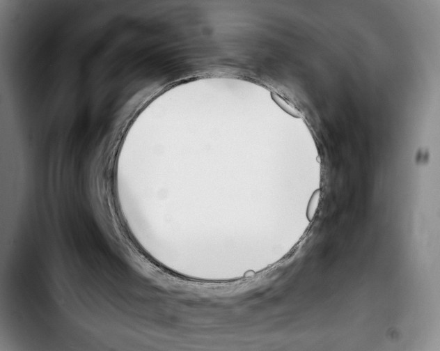 X0000103440001200810241132