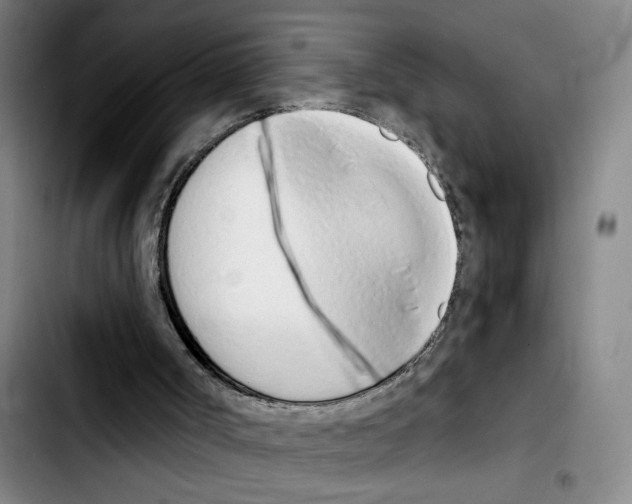 X0000103440002200810241132