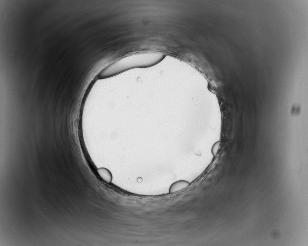 X0000103440003200810241132