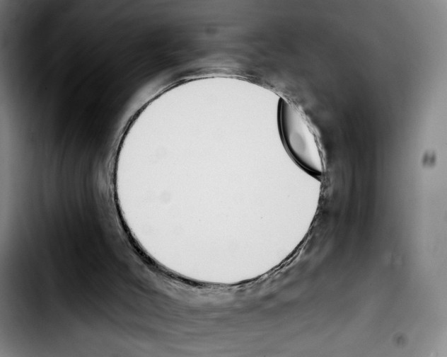 X0000103440004200810241132