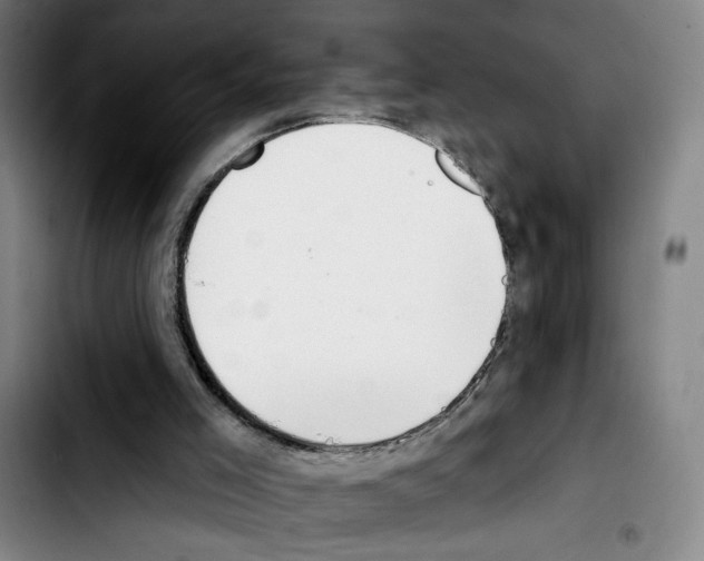X0000103440005200810241132