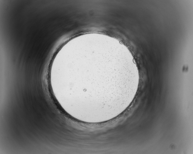 X0000103440006200810241132