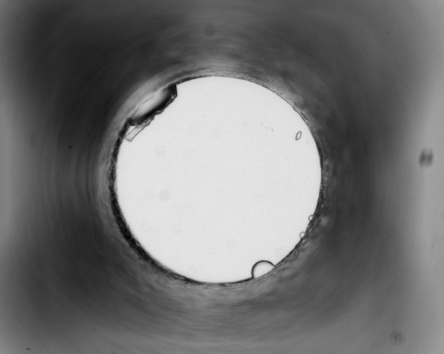 X0000103440007200810241132