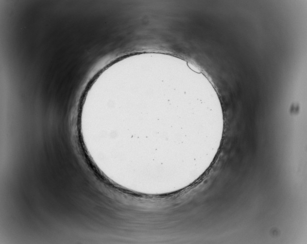 X0000103440008200810241132