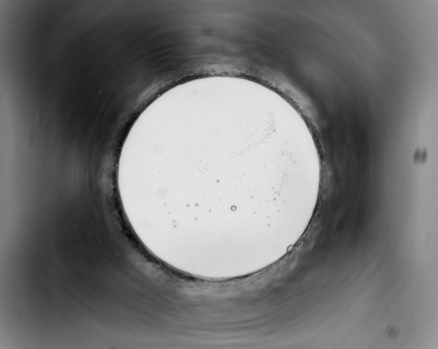 X0000103440009200810241132