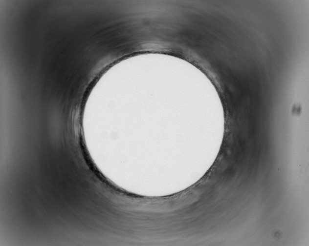 X0000103440011200810241132
