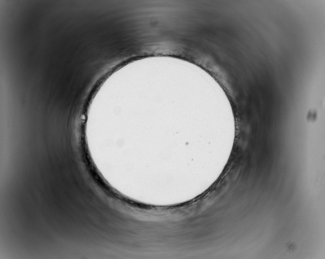 X0000103440012200810241132