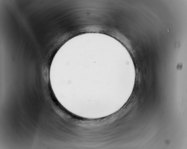 X0000103440013200810241132