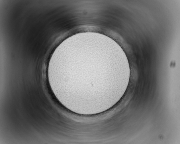 X0000103440014200810241132