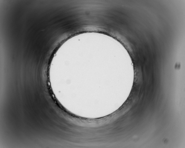 X0000103440015200810241132