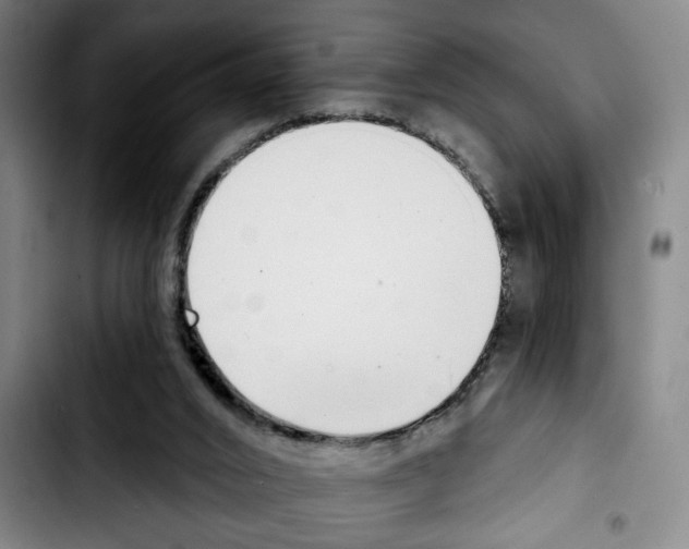 X0000103440016200810241132