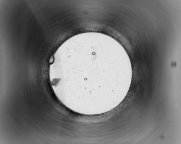 X0000103440017200810241132