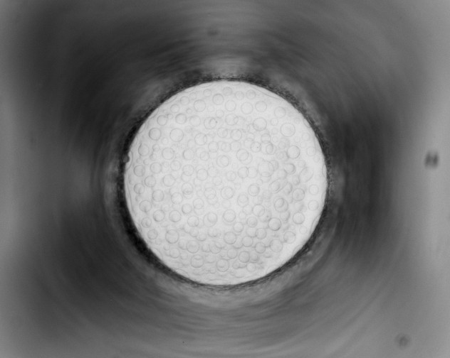 X0000103440018200810241132