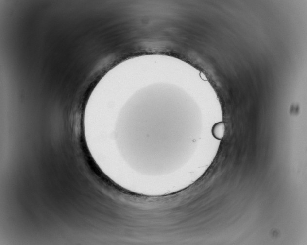 X0000103440019200810241132