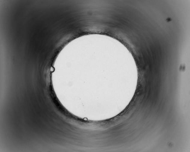 X0000103440020200810241132