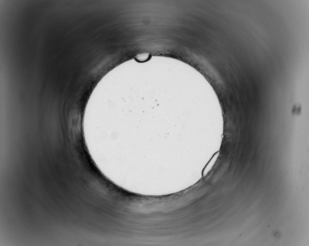 X0000103440021200810241132