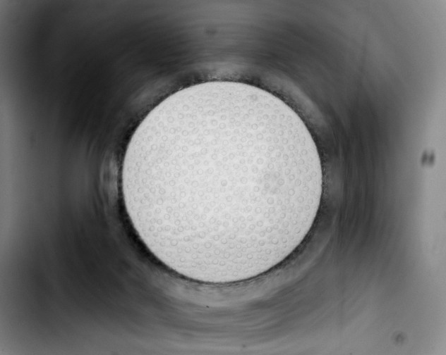 X0000103440022200810241132