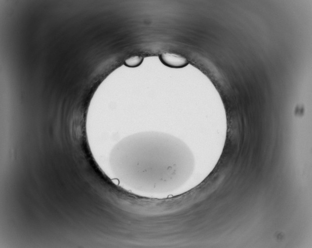 X0000103440023200810241132