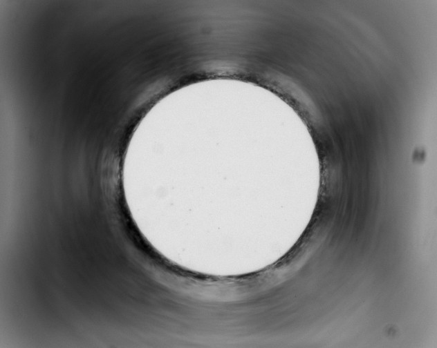X0000103440024200810241132