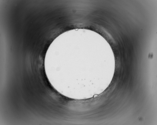 X0000103440025200810241132
