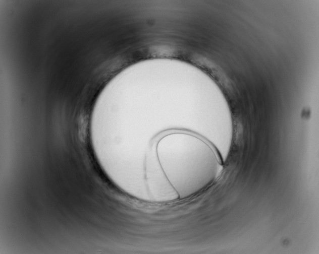 X0000103440026200810241132