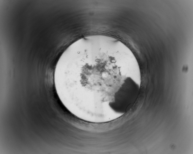X0000103440027200810241132