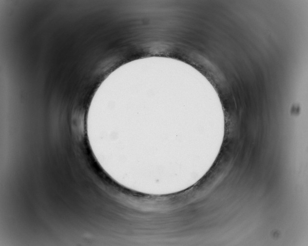 X0000103440028200810241132