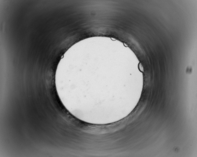 X0000103440029200810241132