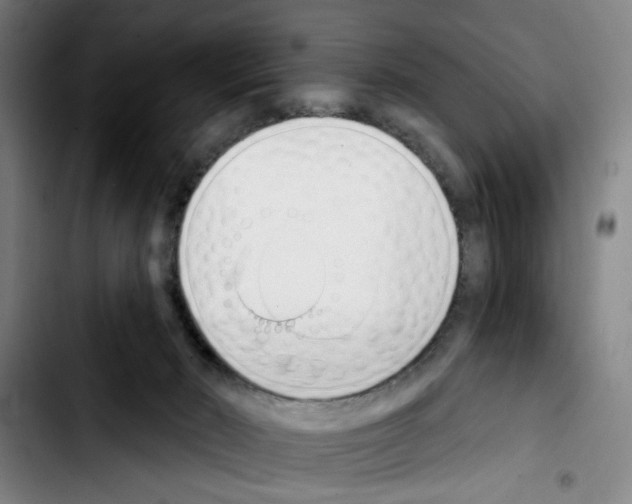X0000103440030200810241132