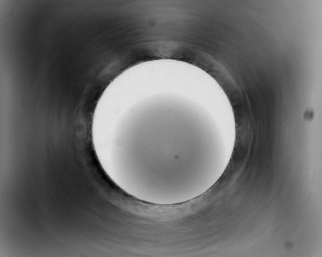 X0000103440031200810241132