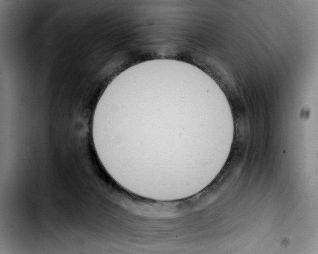 X0000103440032200810241132