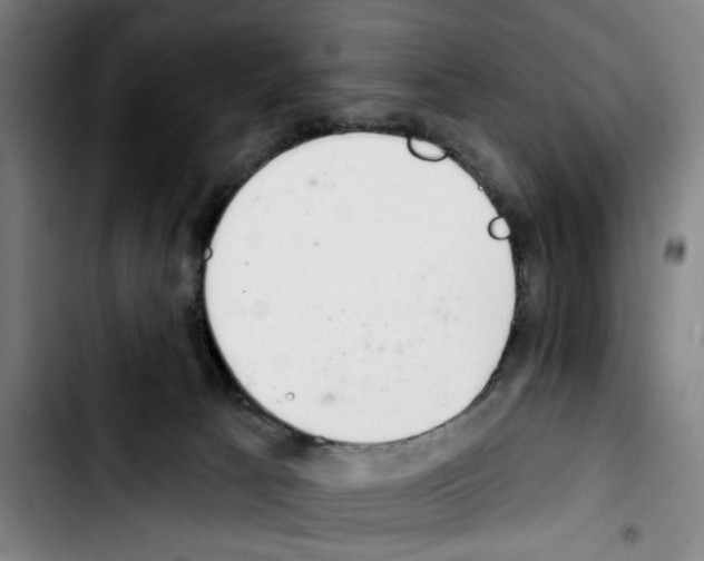 X0000103440033200810241132
