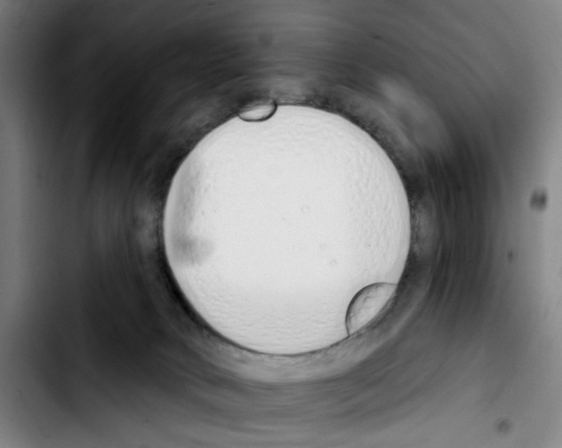 X0000103440034200810241132
