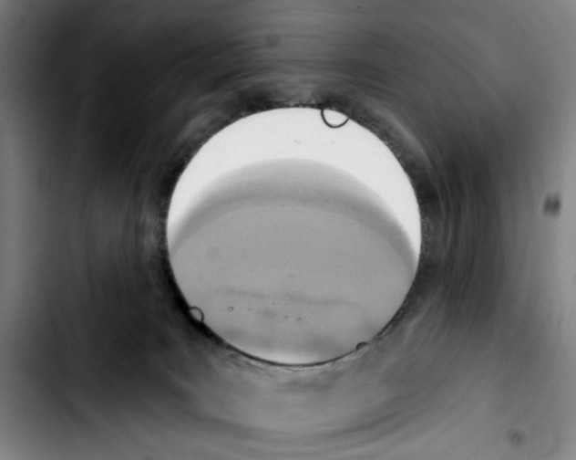 X0000103440035200810241132