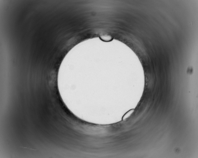 X0000103440036200810241132