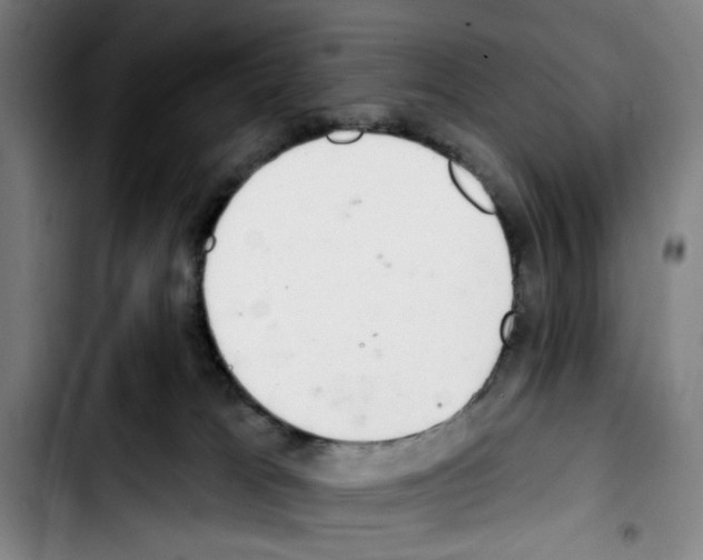X0000103440037200810241132
