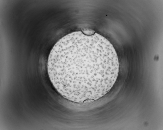 X0000103440038200810241132