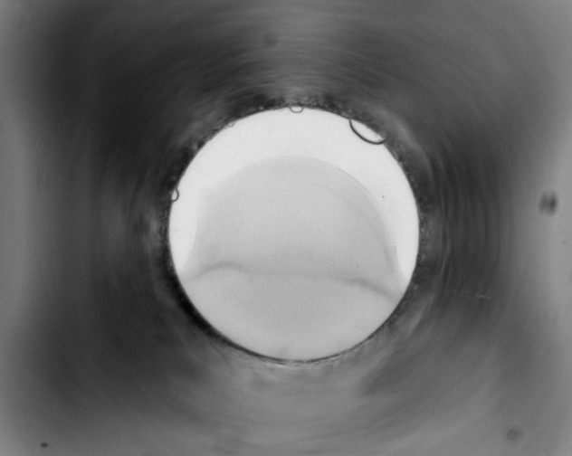 X0000103440039200810241132