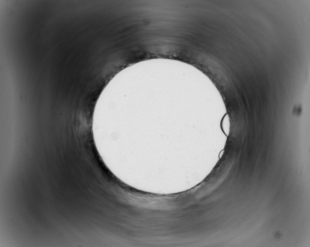 X0000103440040200810241132