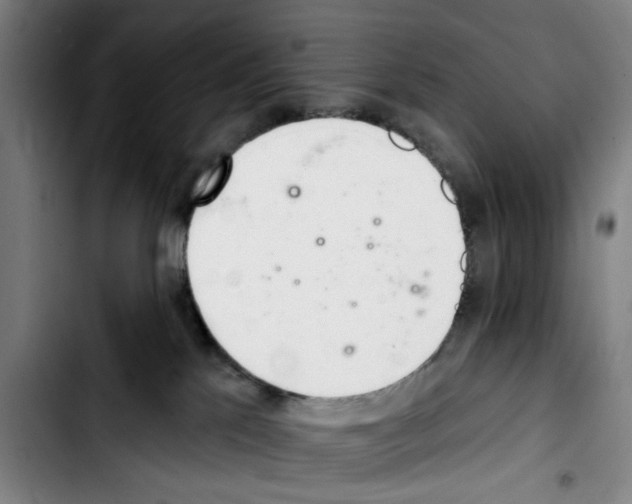 X0000103440041200810241132