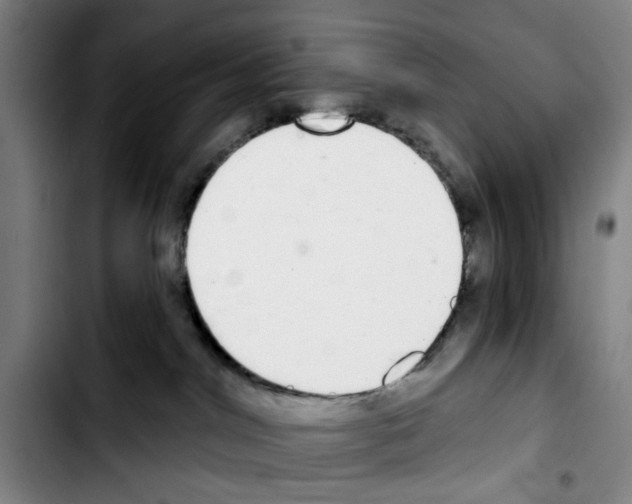 X0000103440044200810241132