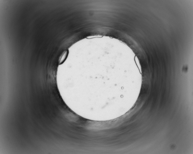 X0000103440045200810241132