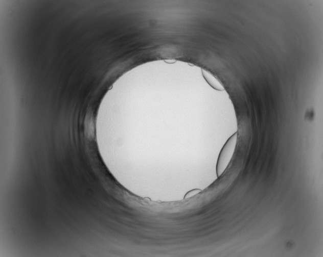 X0000103440046200810241132