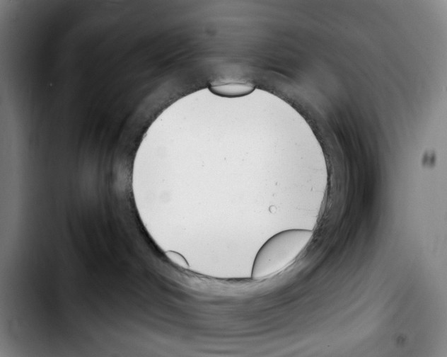 X0000103440048200810241132