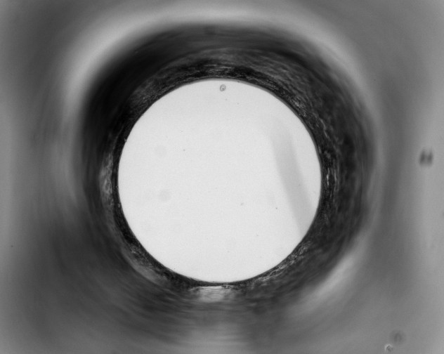 X0000103440050200810241131