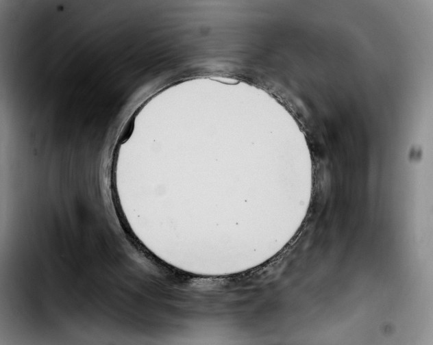 X0000103440051200810241131