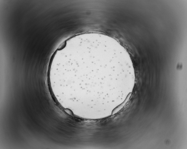 X0000103440052200810241131