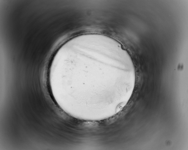 X0000103440053200810241131
