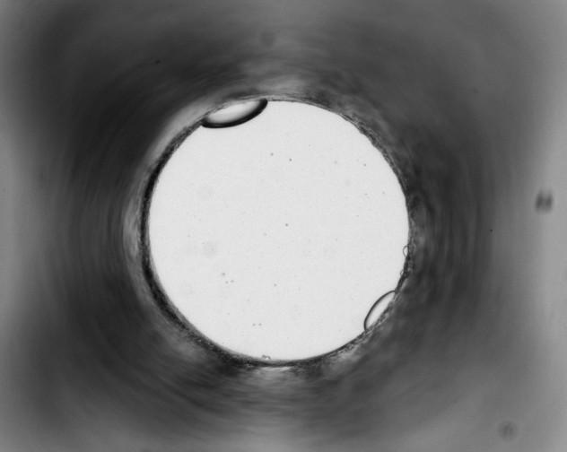 X0000103440054200810241131